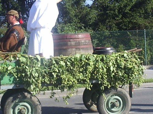Slavnosti vína a otevřených památek - 9.9.2006